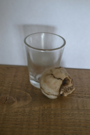 Skull Head Shot Glass