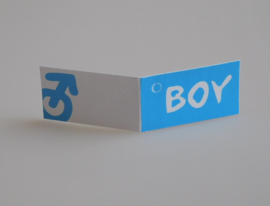 Bedankkaartjes: 25 stuks Kaartjes BOY