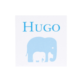 Bedankkaartje: 20 stuks Kaartjes Blauw Hugo