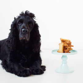 DIY bakpakket voor Hondenkoekjes + BOT koekuitsteker