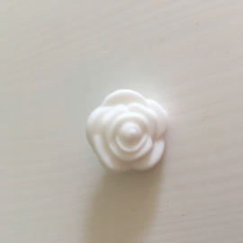 Small flower - white