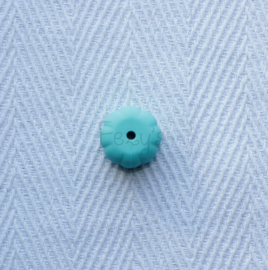 Pompoen - turquoise