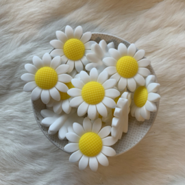 Daisy bead - white