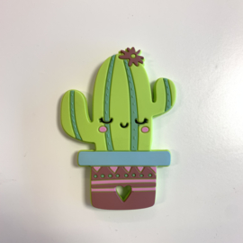 Cactus met bloemetje