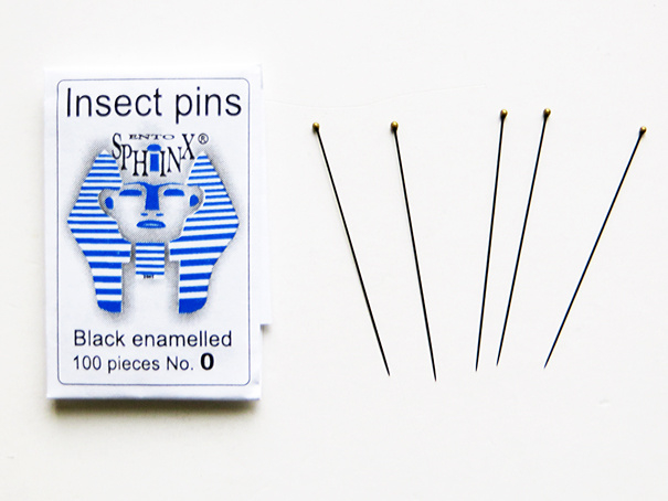 Insect pins no.00