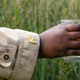 Geborduurde broches | Insecten