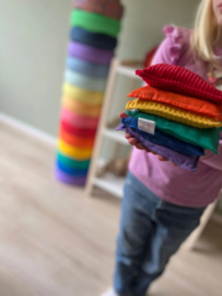 Regenboog pittenzakjes
