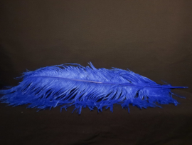 Struisvogelveer Royal -Blauw