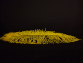 Struisvogelveer geel
