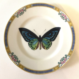 Bordje blauwe vlinder