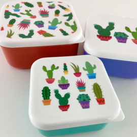 Lunchboxjes cactus