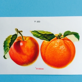 Decal sinaasappel en appel