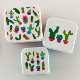 Lunchboxjes cactus