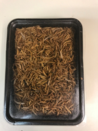 meelwormen diepvries (1 liter)