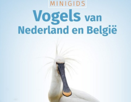 Zoekkaart vogels