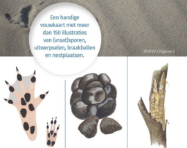 Natuurwijzer Sporen