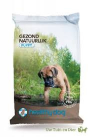 Healthy Dog Puppy