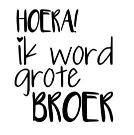 Strijkapplicatie | Hoera! Ik word grote BROER