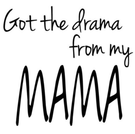 Strijkapplicatie | Got the drama from my mama