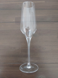 Vivo - Champagneglas  24 cm hoog