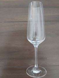 Vivo - Champagneglas  22,5 cm hoog