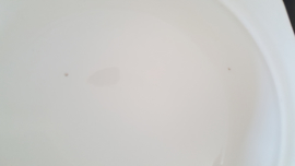 Mandarin - Dekschaal 21 cm met deksel imperfect