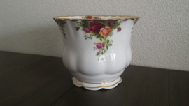 Old Country Roses - Planten pot ca 14,5 cm doorsnede