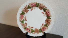 Wildbriar - Dinerbord 26 cm