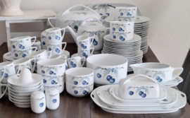 Donatello Blaue Kirschen / Blue Cherry