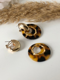 oorbellen creolen goud met tortoise hangers