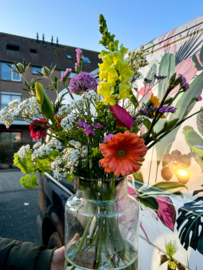 Abonnement Pluktuin
