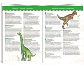 Djeco Observatie puzzel Dino's