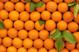 Oranges