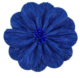 Bloem Lily 8cm kobaltblauw