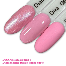 DIVA Gellak Watch Me Glow Collection + gratis pigment 10ml