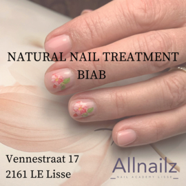1 daagse Natural nail treatment/BIAB 1 juni
