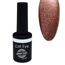 URBAN NAILS Cat Eye CA13A