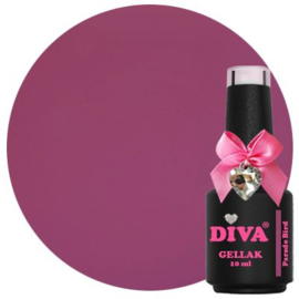 Diva gellak parade bird 10 ml