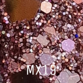 Glitter Mix MX19