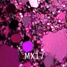 Glitter Mix MX17