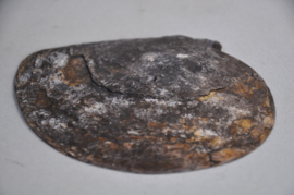 Fikum, parelmoer taille ornament, Ifugao, midden 20e eeuw