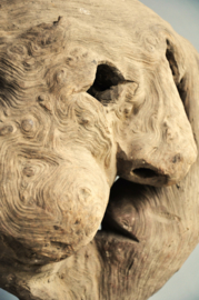 Groot zwaar masker, bosgeest, Nepal