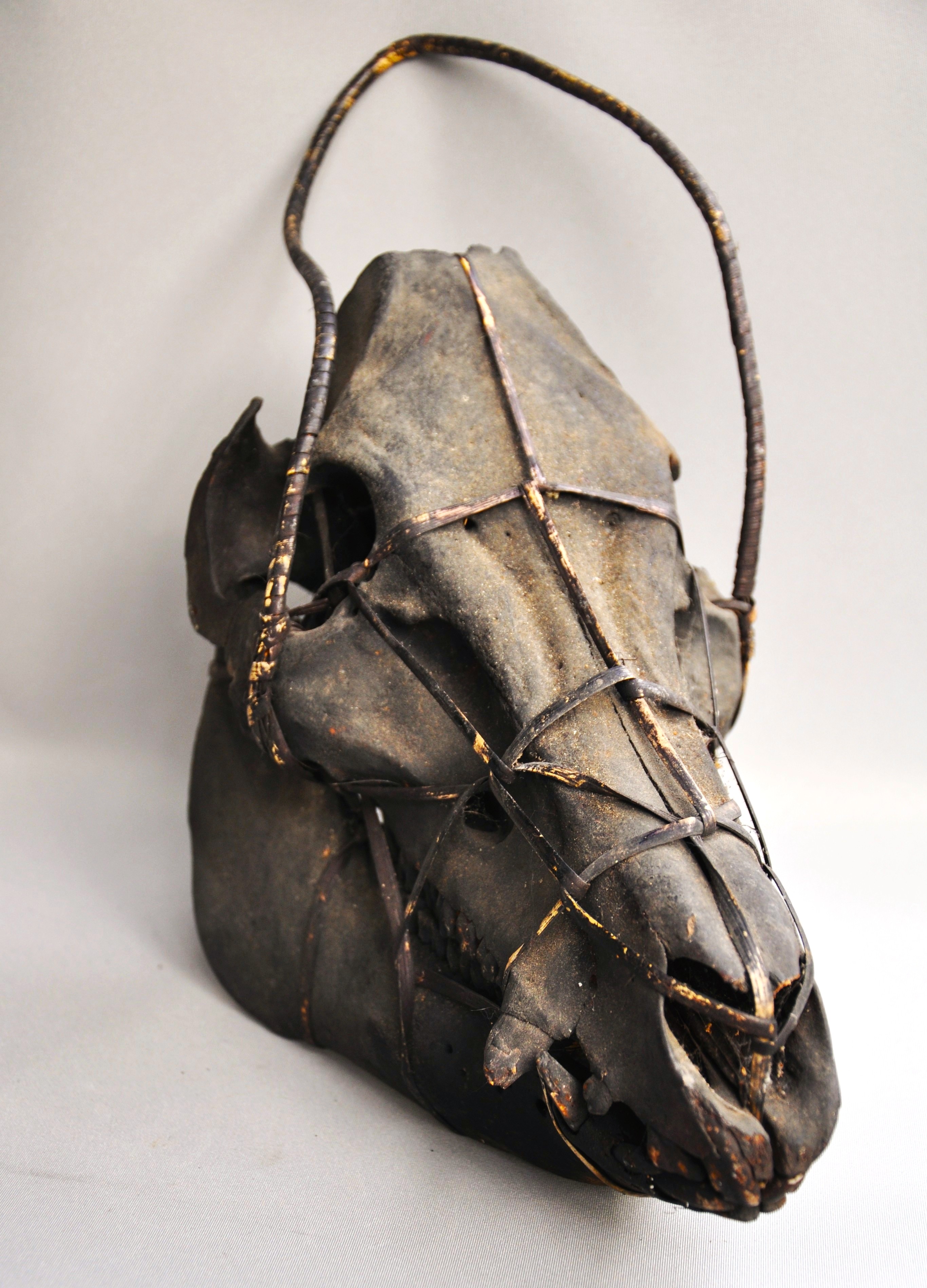 Large tribal pig skull, IFUGAO, Luzon, Philippines