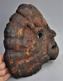 Lingzhi mushroom mask for protection, East Nepal, 2nd half of the 20th century