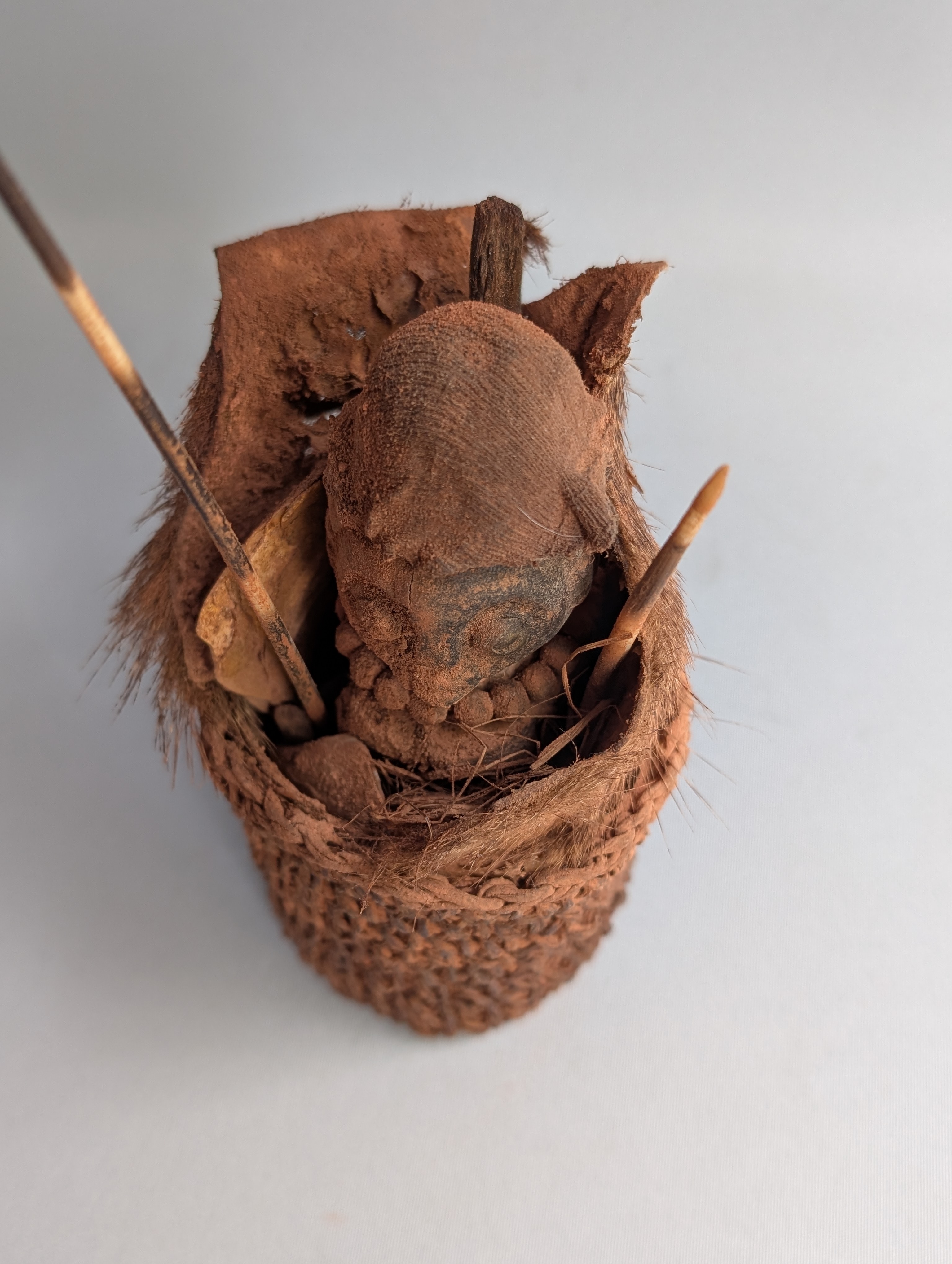 Rare fetish basket from the KUSU or Luba spectrum, DR Congo.