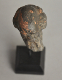 Plinius, Roman scientist, 5th-6th century, found in Tongeren