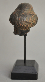 Plinius, Roman scientist, 5th-6th century, found in Tongeren