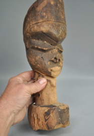 Unicat! & zeldzaam. Kop van de Pende, DR Congo, 1900-1920