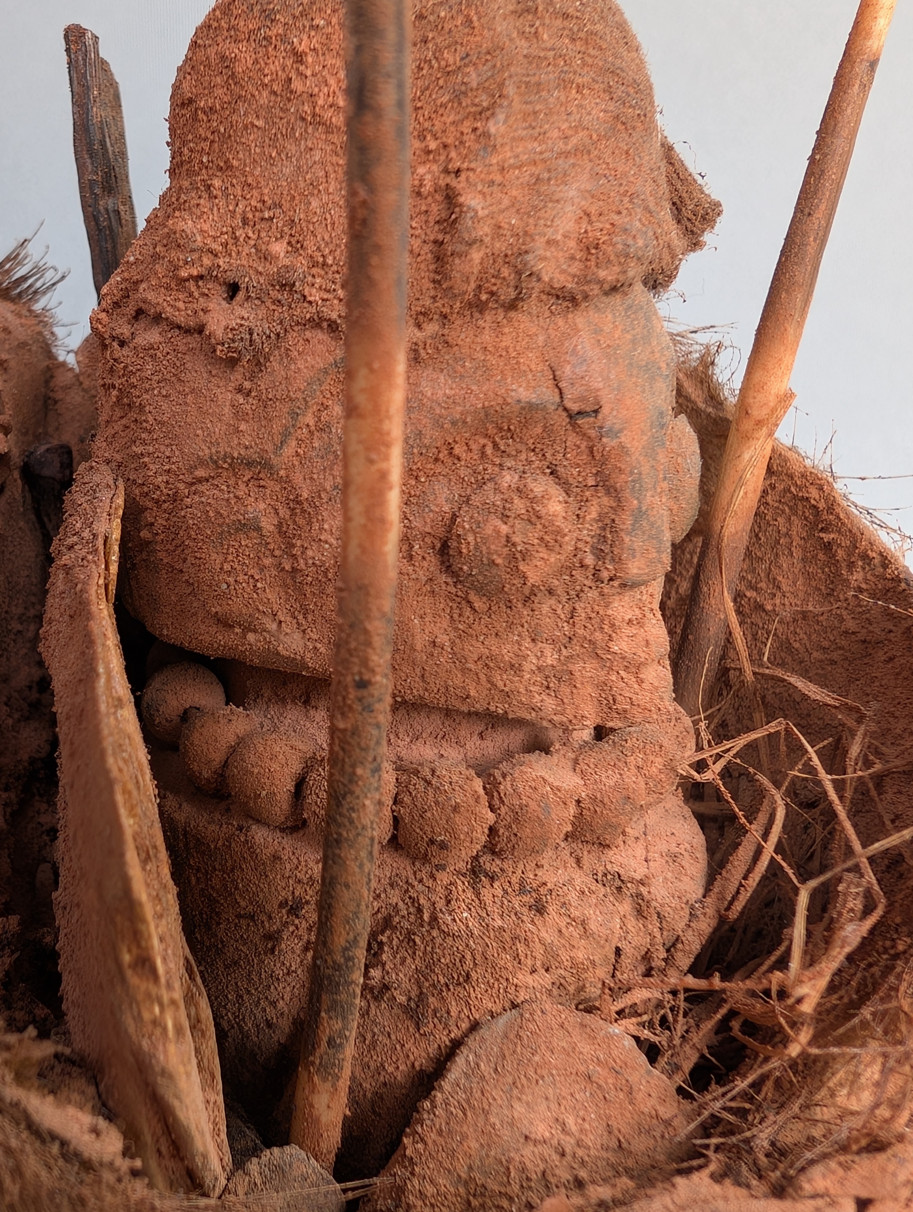 Rare fetish basket from the KUSU or Luba spectrum, DR Congo.