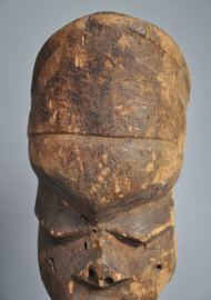 Unicat! & zeldzaam. Kop van de Pende, DR Congo, 1900-1920